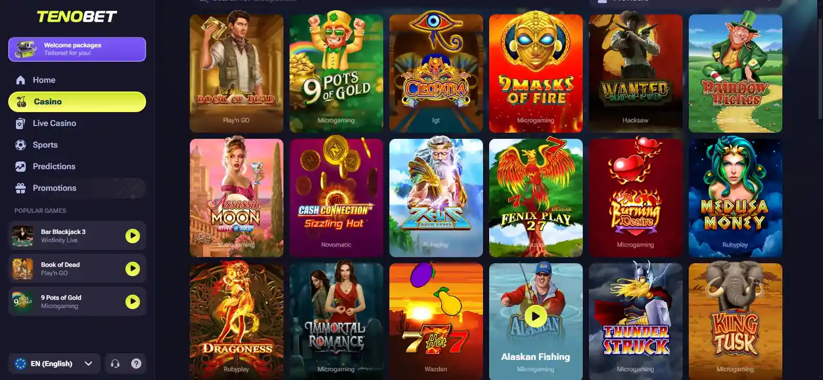 Real TenoBet slots lobby showing the slot game grid